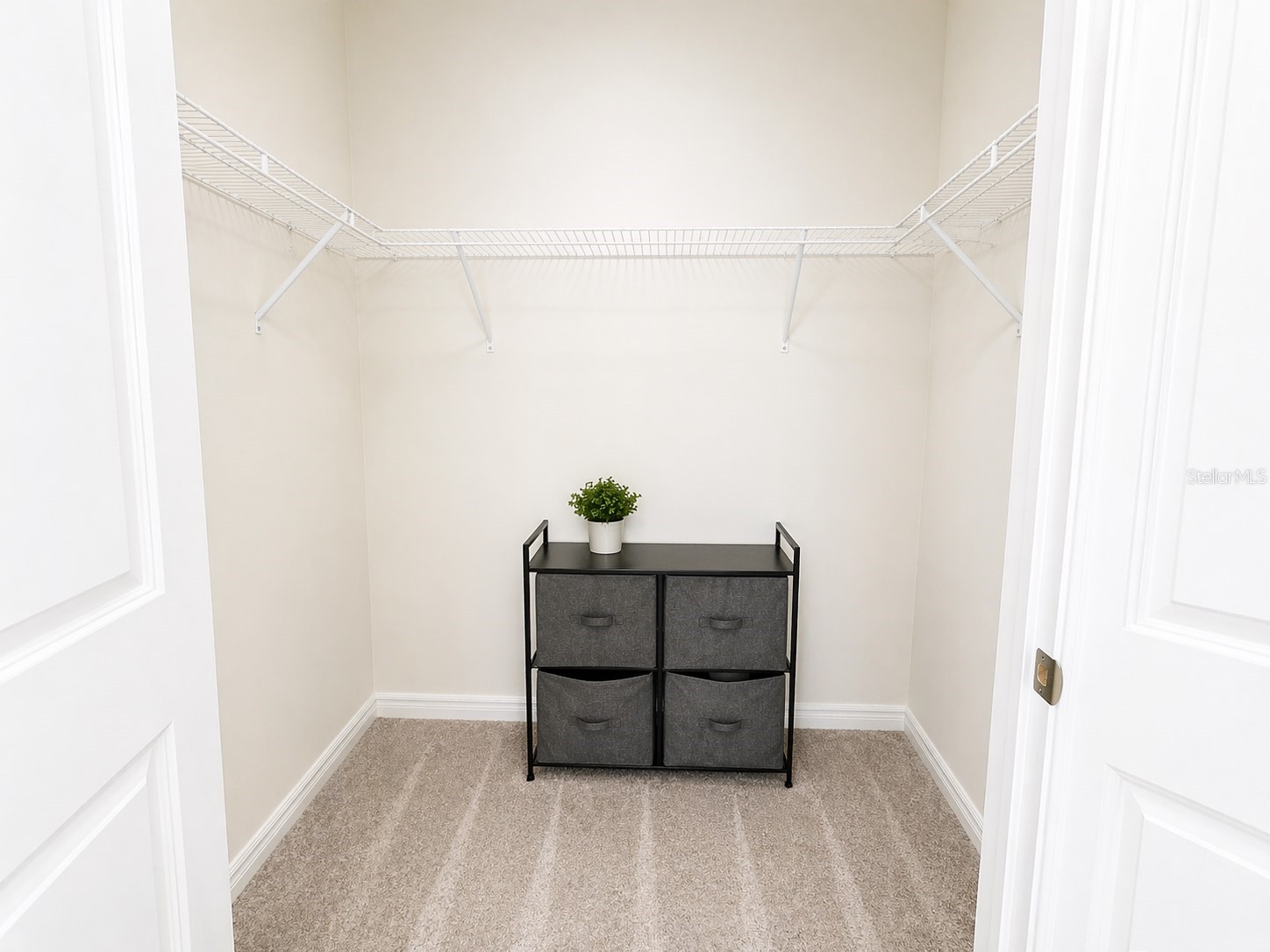 34350 Redwood Dawn Lane Wesley Chapel FL 33543 TB8496752 image8