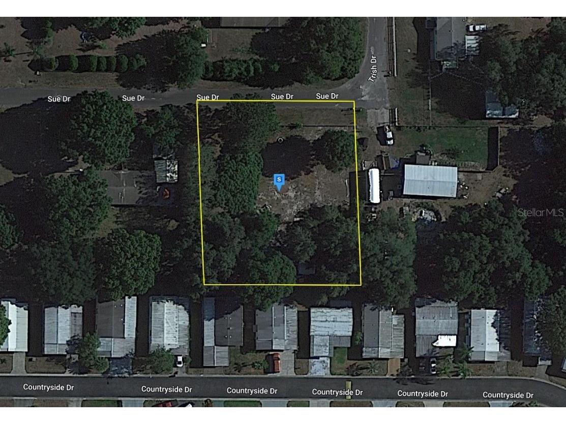 34350 Sue Drive Zephyrhills FL 33543 A4597671 image1