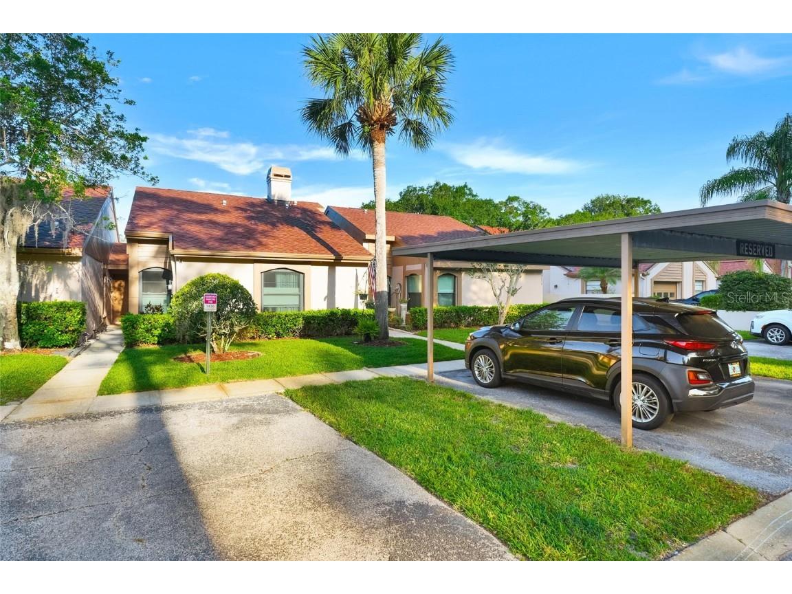 3436 Hillmoor Drive Palm Harbor FL 34685 U8201079 image1
