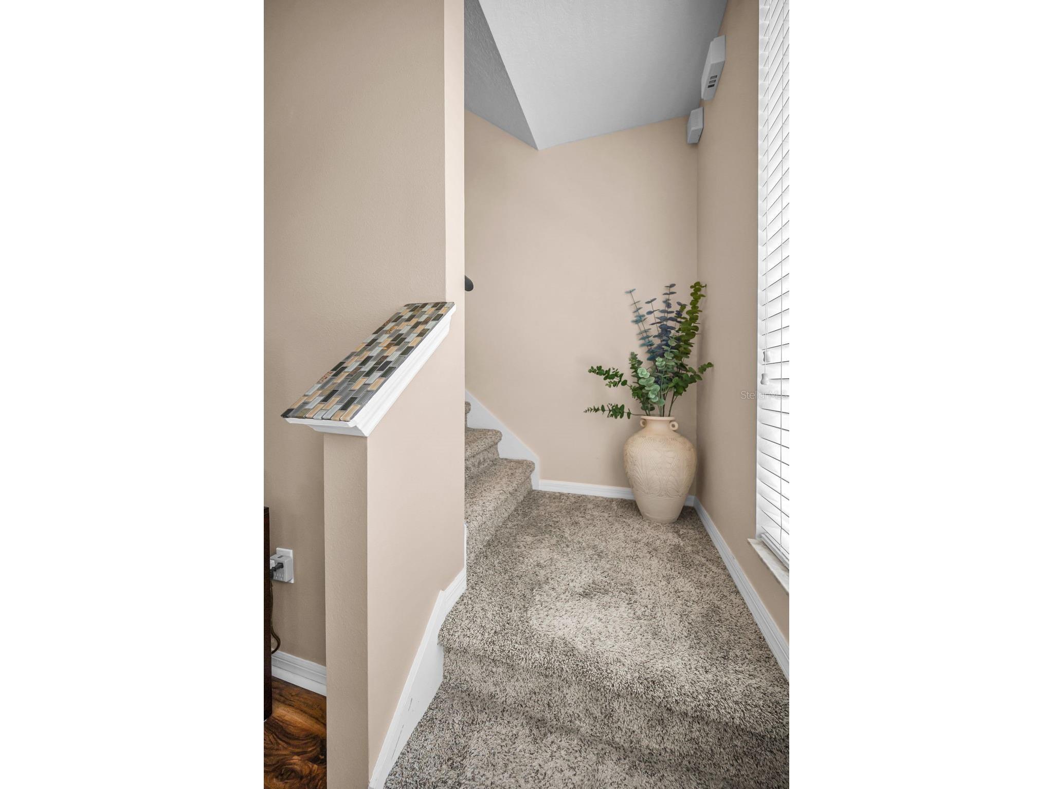 3436 Lonzalo Way New Port Richey FL 34655 W7887572 image25