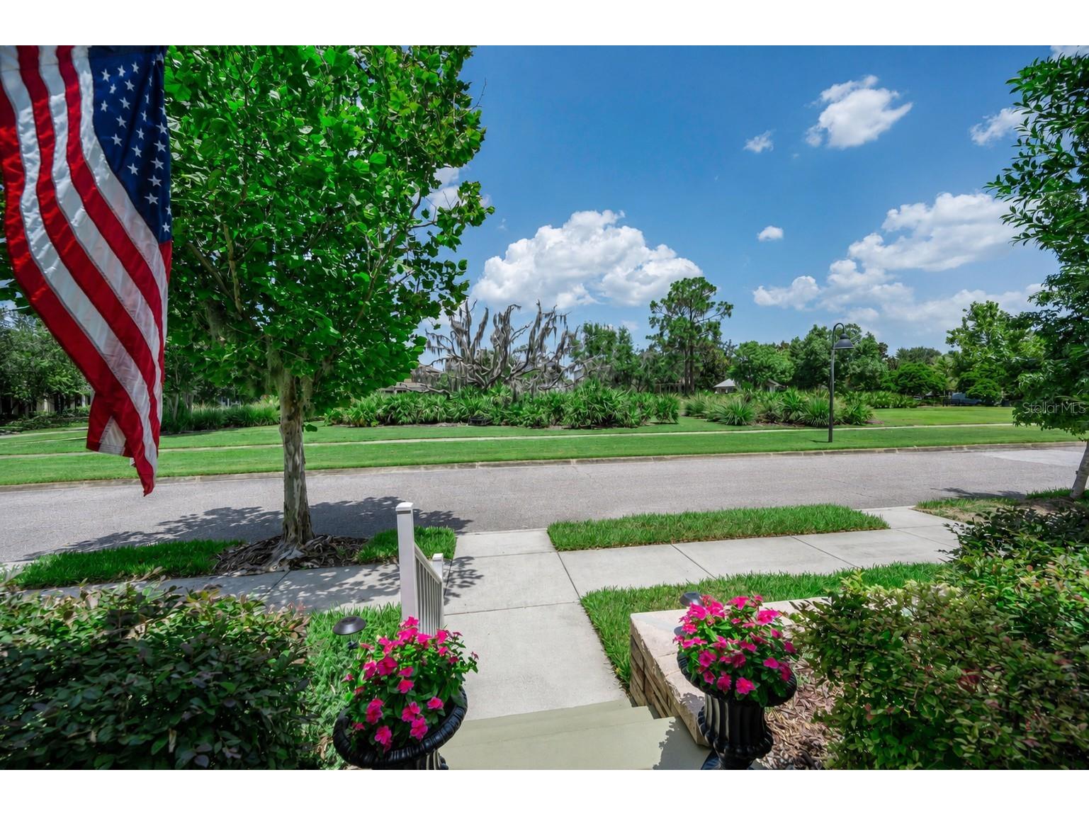 3436 Lonzalo Way New Port Richey FL 34655 W7887572 image42