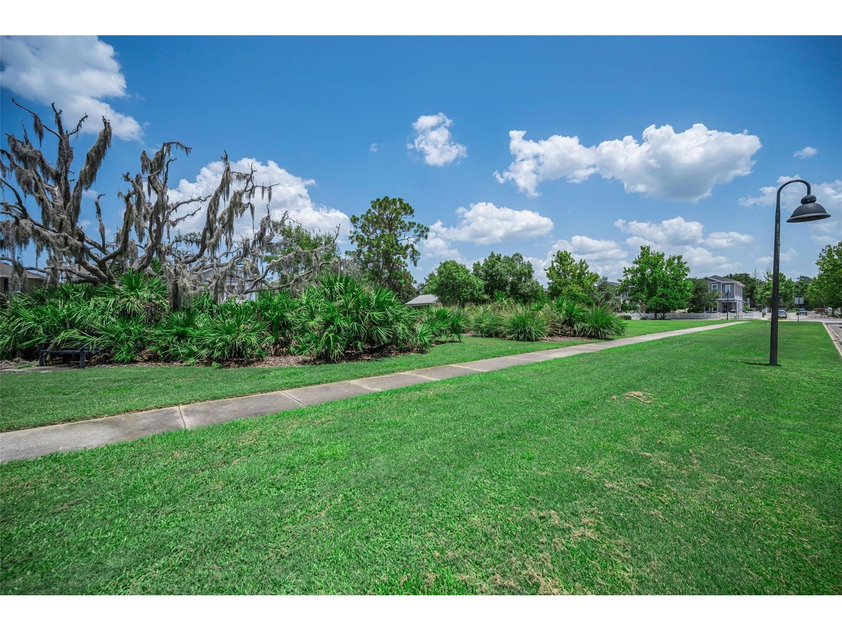 3436 Lonzalo Way New Port Richey FL 34655 W7887572 image43