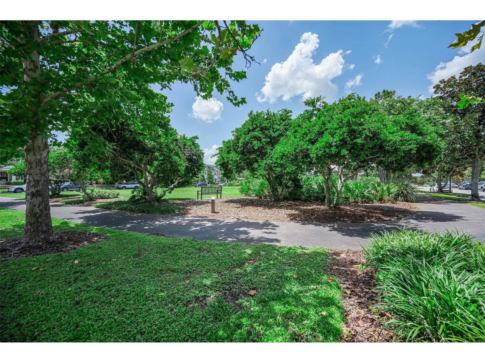 3436 Lonzalo Way New Port Richey FL 34655 W7887572 image45