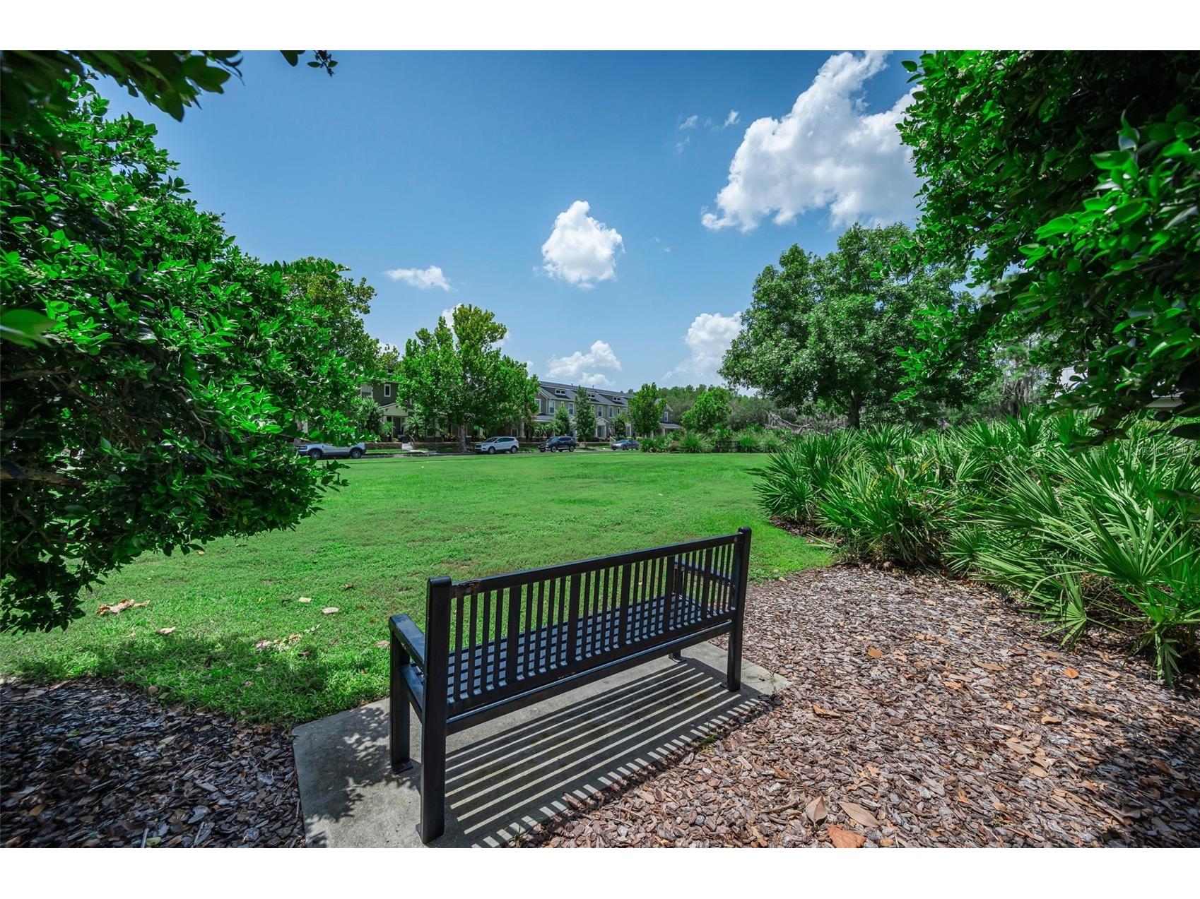 3436 Lonzalo Way New Port Richey FL 34655 W7887572 image46