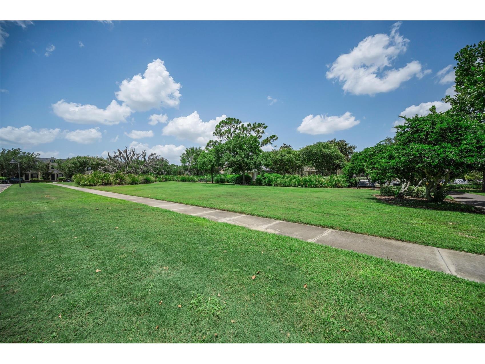 3436 Lonzalo Way New Port Richey FL 34655 W7887572 image47