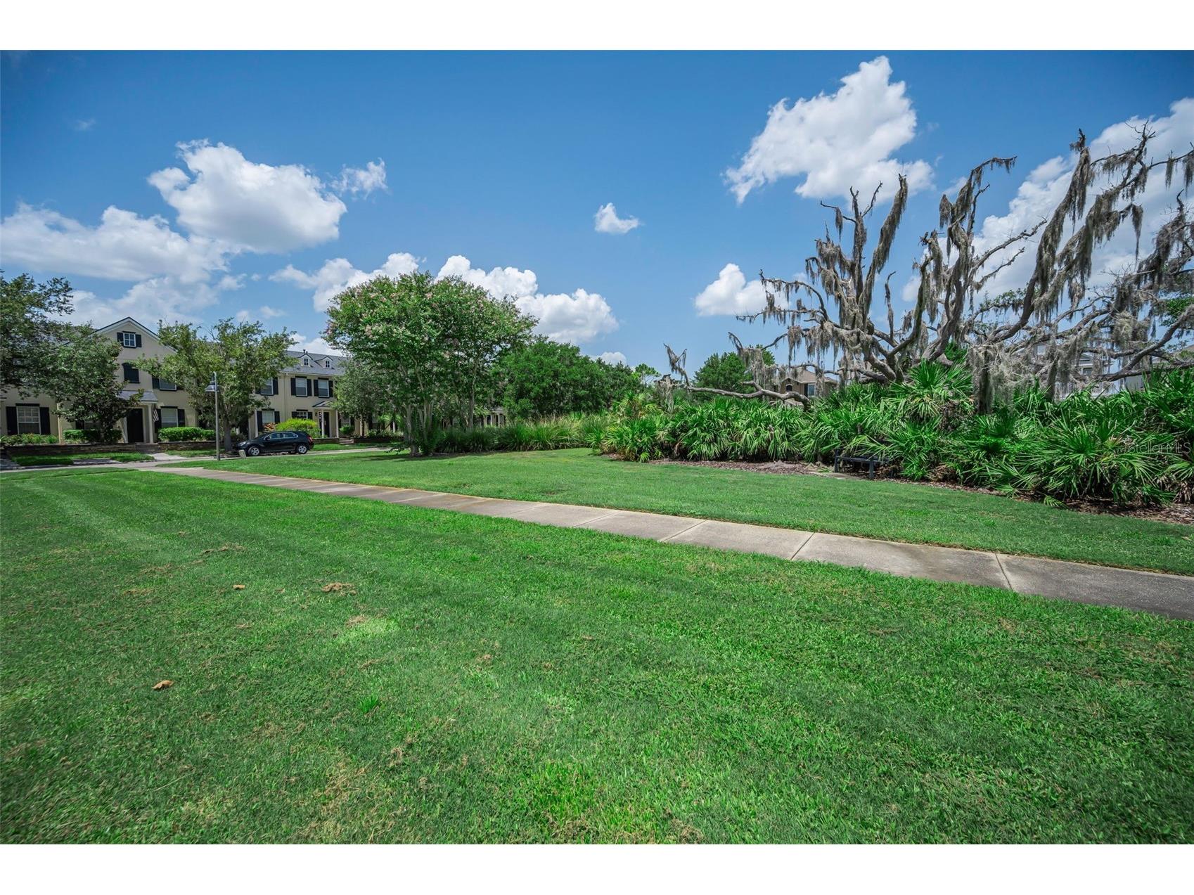 3436 Lonzalo Way New Port Richey FL 34655 W7887572 image48