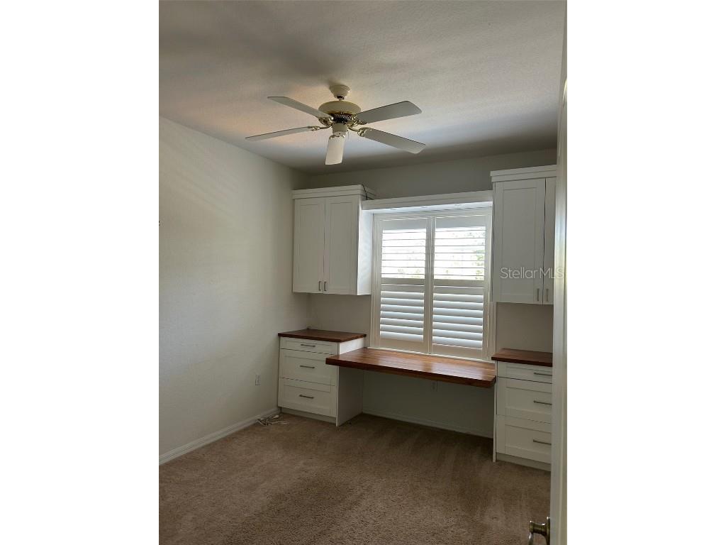 3436 Primrose Way Palm Harbor FL 34683 TB8455068 image10