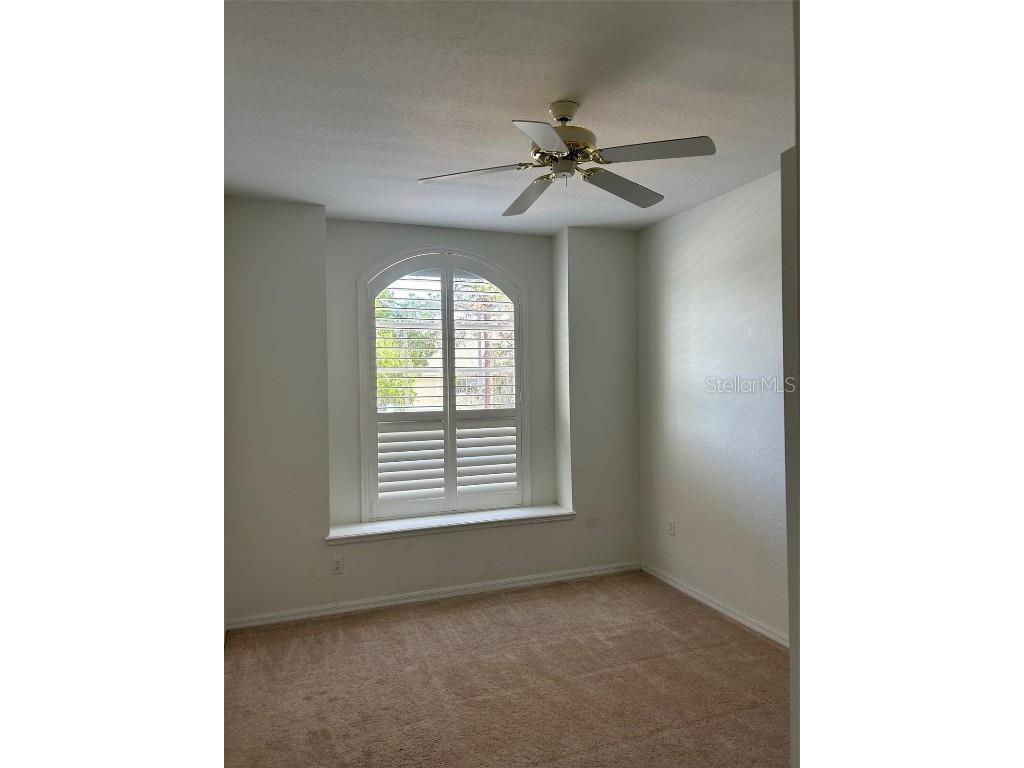 3436 Primrose Way Palm Harbor FL 34683 TB8455068 image11