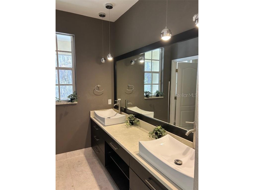 3436 Primrose Way Palm Harbor FL 34683 TB8455068 image14