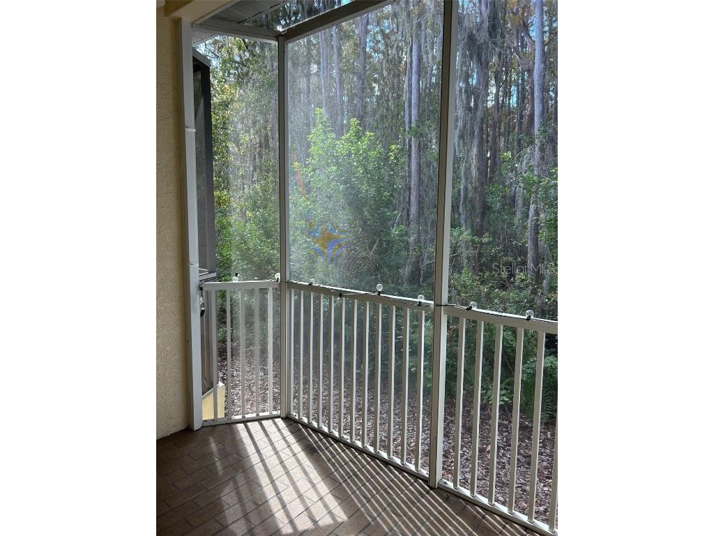 3436 Primrose Way Palm Harbor FL 34683 TB8455068 image15