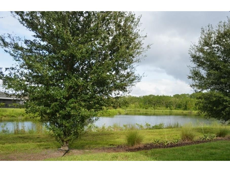 3436 Sagebrush Street Harmony FL 34773 S5136072 image29