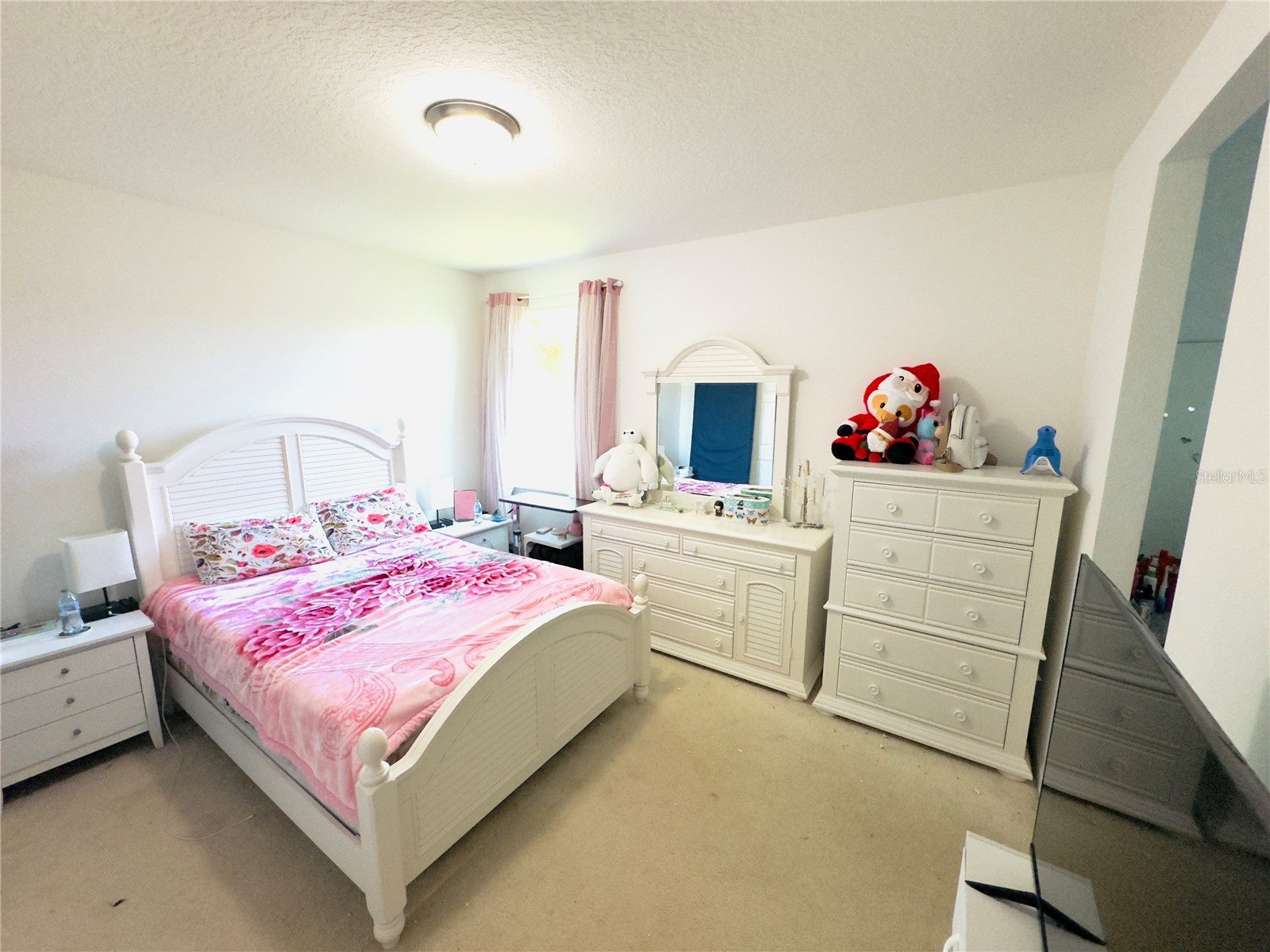 3436 Stonewyck Street Orlando FL 32824 S5146313 image22