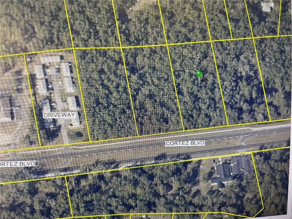 34365 Cortez Boulevard Dade City FL 33523 T3509406 image2