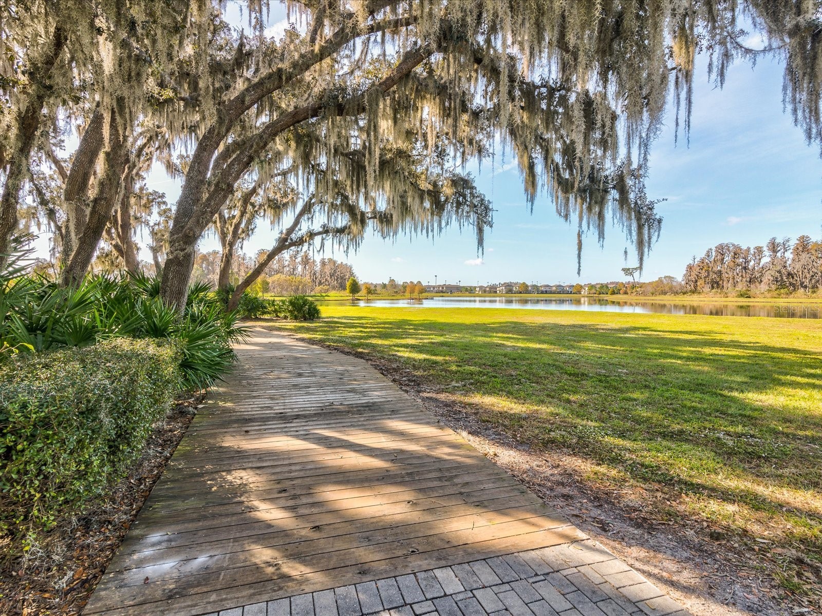 3437 Barbour Trail Odessa FL 33556 W7885664 image77