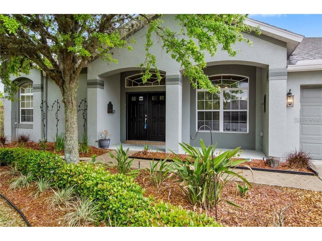 3437 Fortingale Drive Wesley Chapel FL 33543 T3413244 image1
