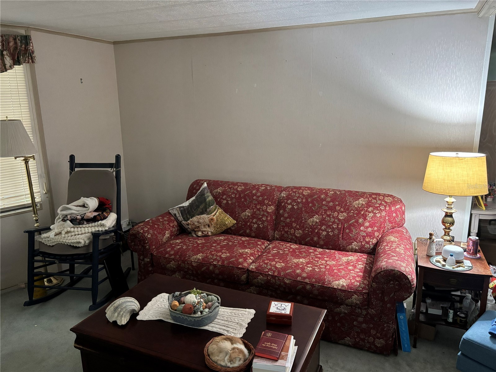 3438 Banberry Circle #1790 Zellwood FL 32798 O6415808 image12