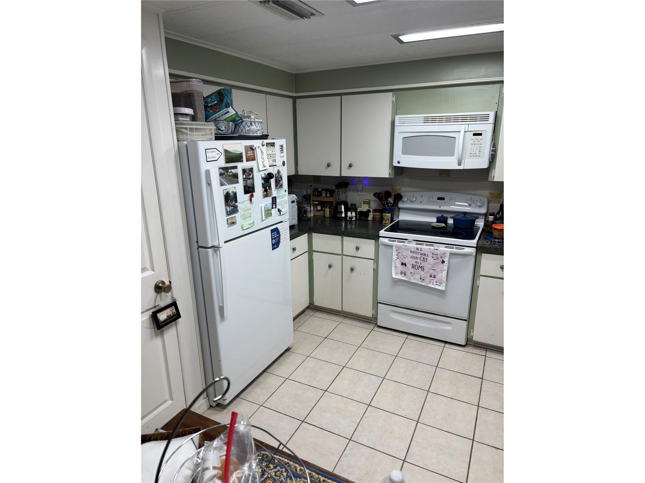 3438 Banberry Circle #1790 Zellwood FL 32798 O6415808 image5