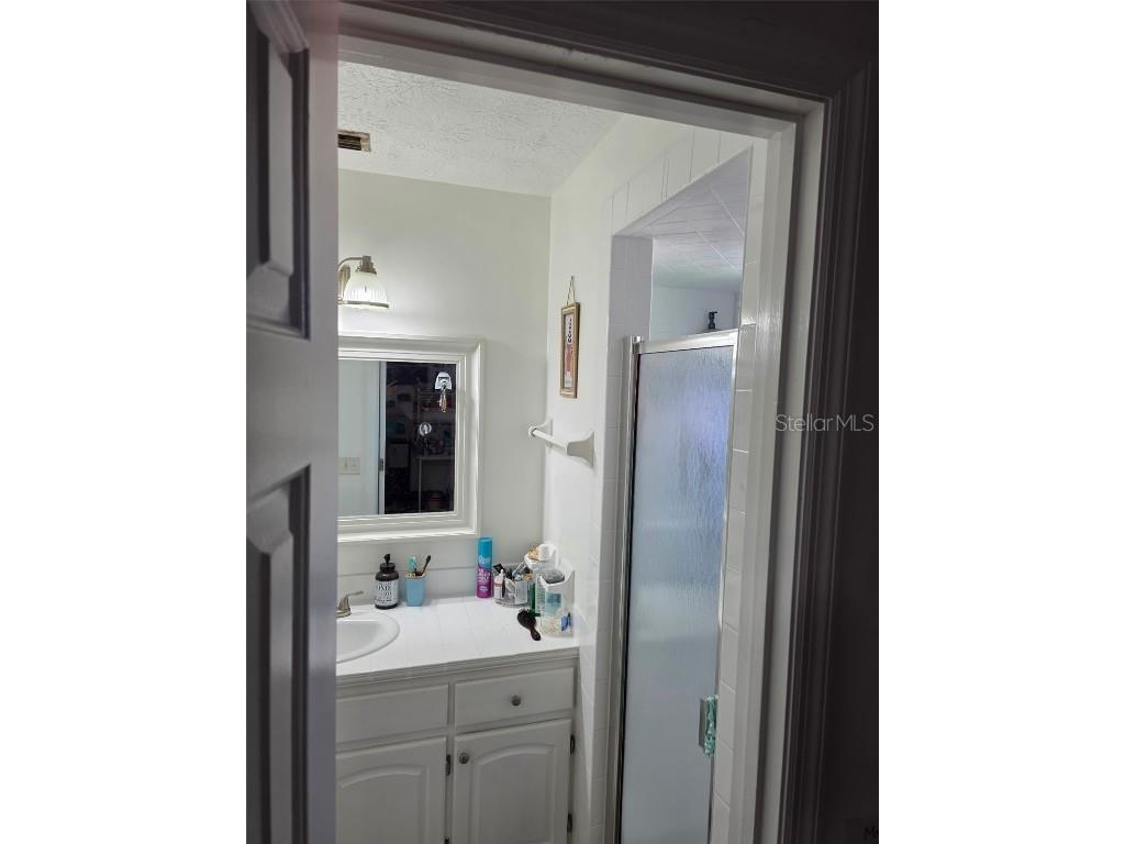 3438 Christina Groves Court S Lakeland FL 33813 L4957235 image8