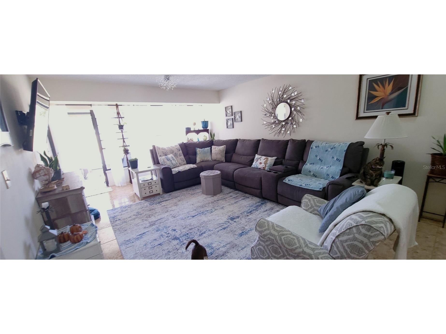 3438 Lori Lane New Port Richey FL 34655 W7881477 image12