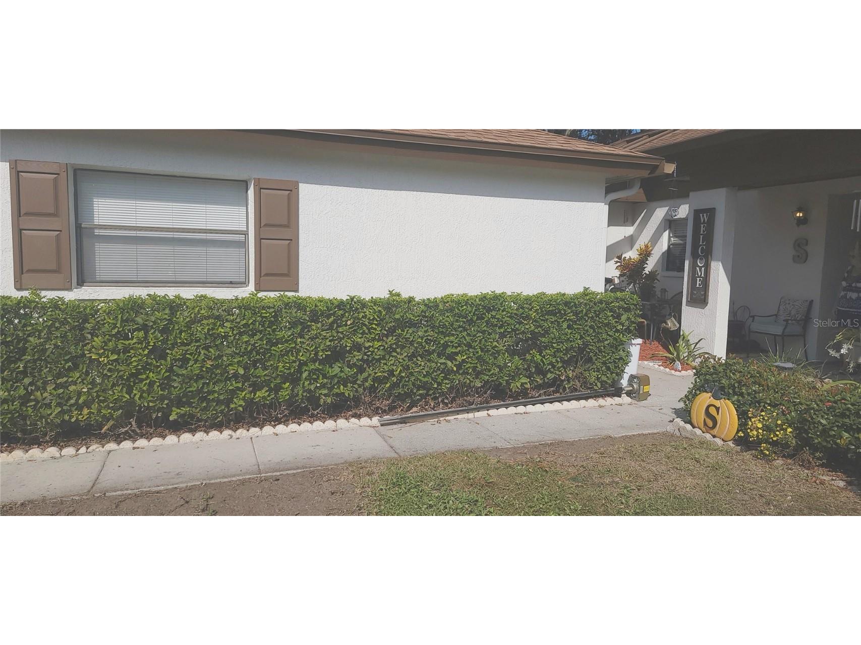 3438 Lori Lane New Port Richey FL 34655 W7881477 image2