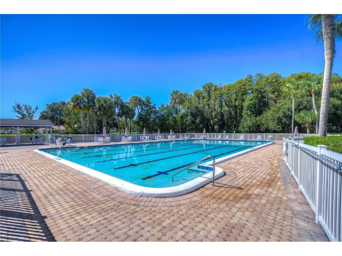 3438 Lori Lane New Port Richey FL 34655 W7881477 image27