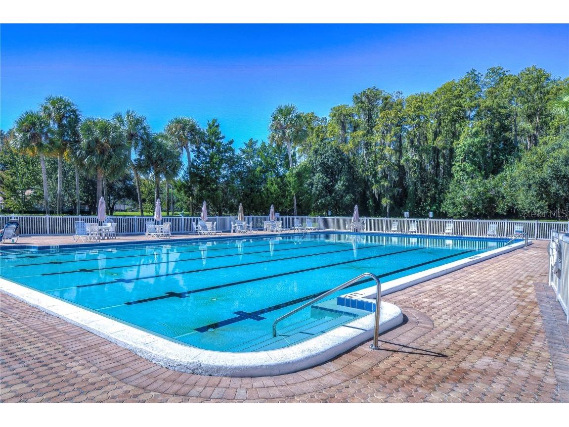 3438 Lori Lane New Port Richey FL 34655 W7881477 image28