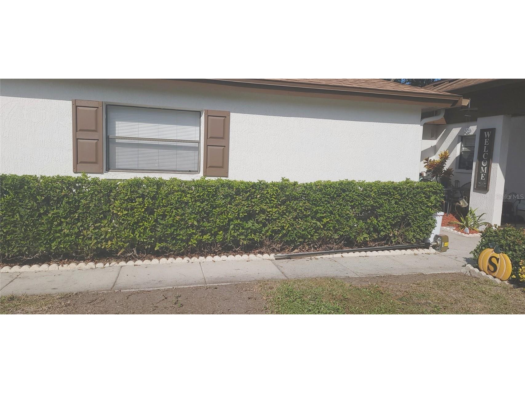 3438 Lori Lane New Port Richey FL 34655 W7881477 image3