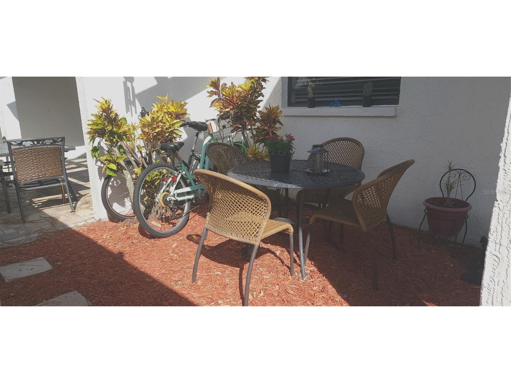 3438 Lori Lane New Port Richey FL 34655 W7881477 image4