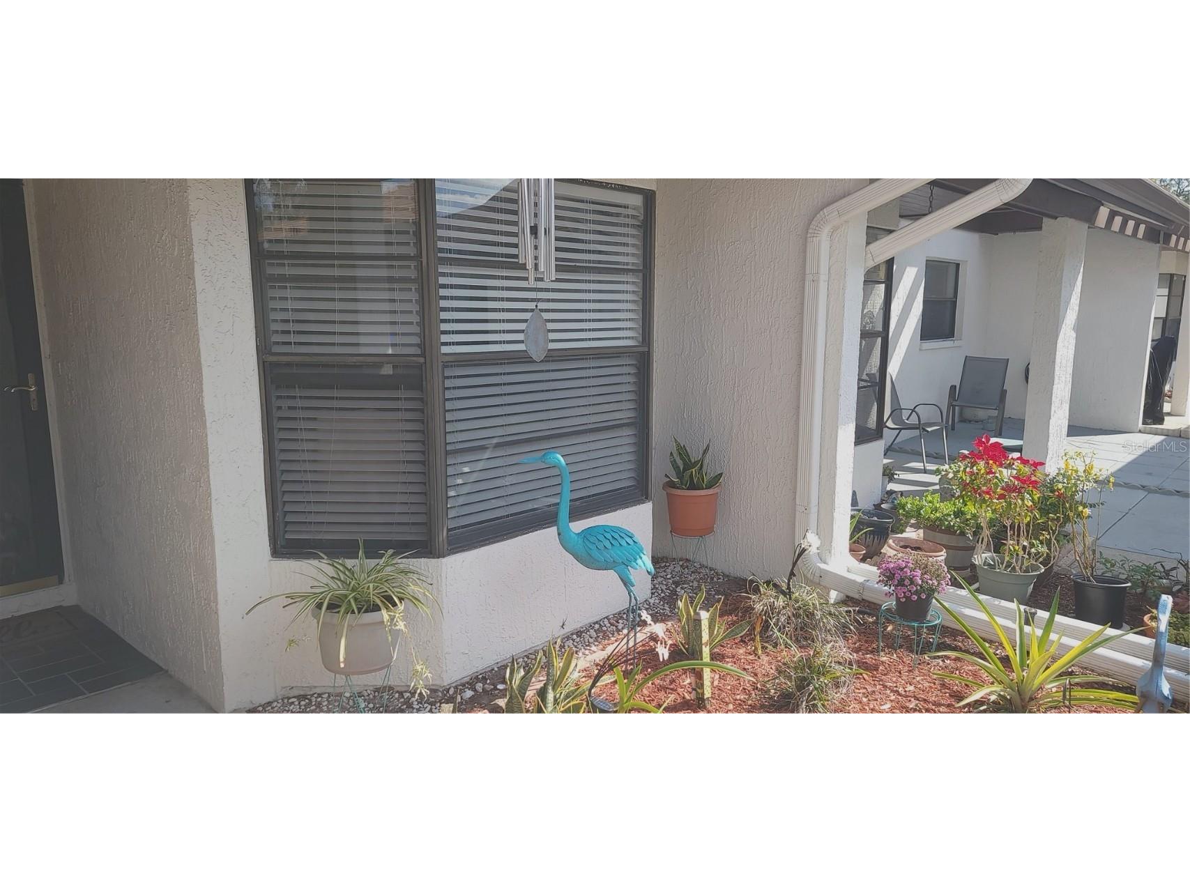 3438 Lori Lane New Port Richey FL 34655 W7881477 image5