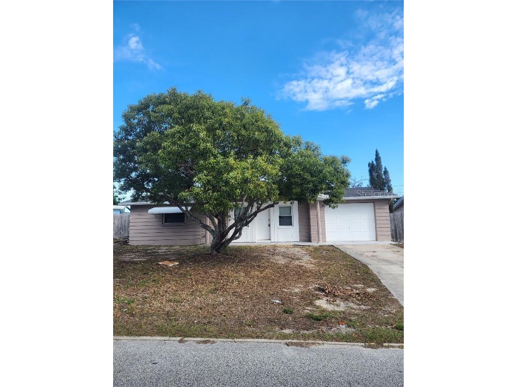 3438 Rosefield Drive Holiday FL 34691 T3489674 image1