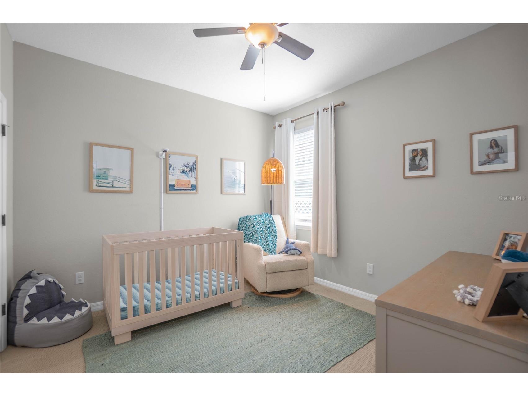 34382 Evergreen Hill Court Wesley Chapel FL 33545 TB8506743 image28