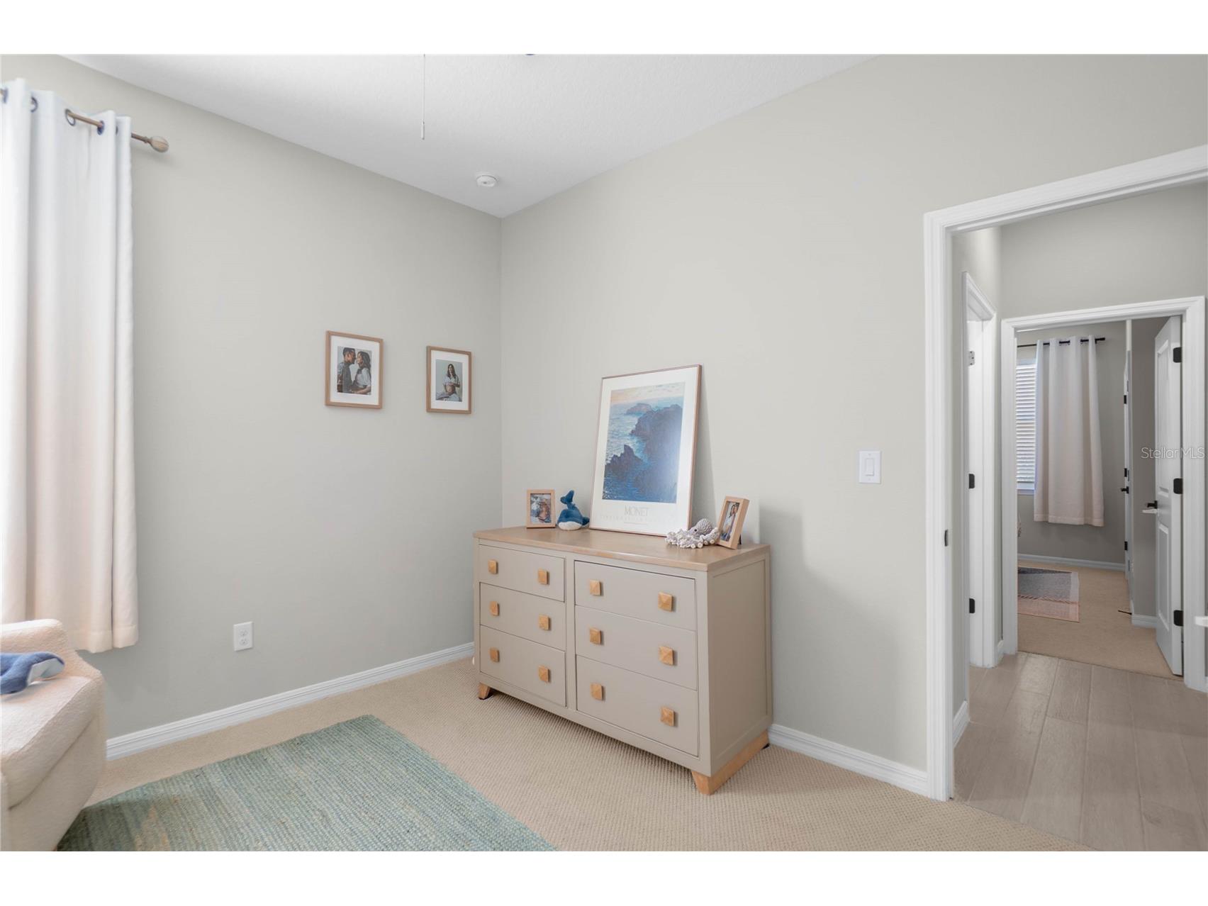 34382 Evergreen Hill Court Wesley Chapel FL 33545 TB8506743 image30