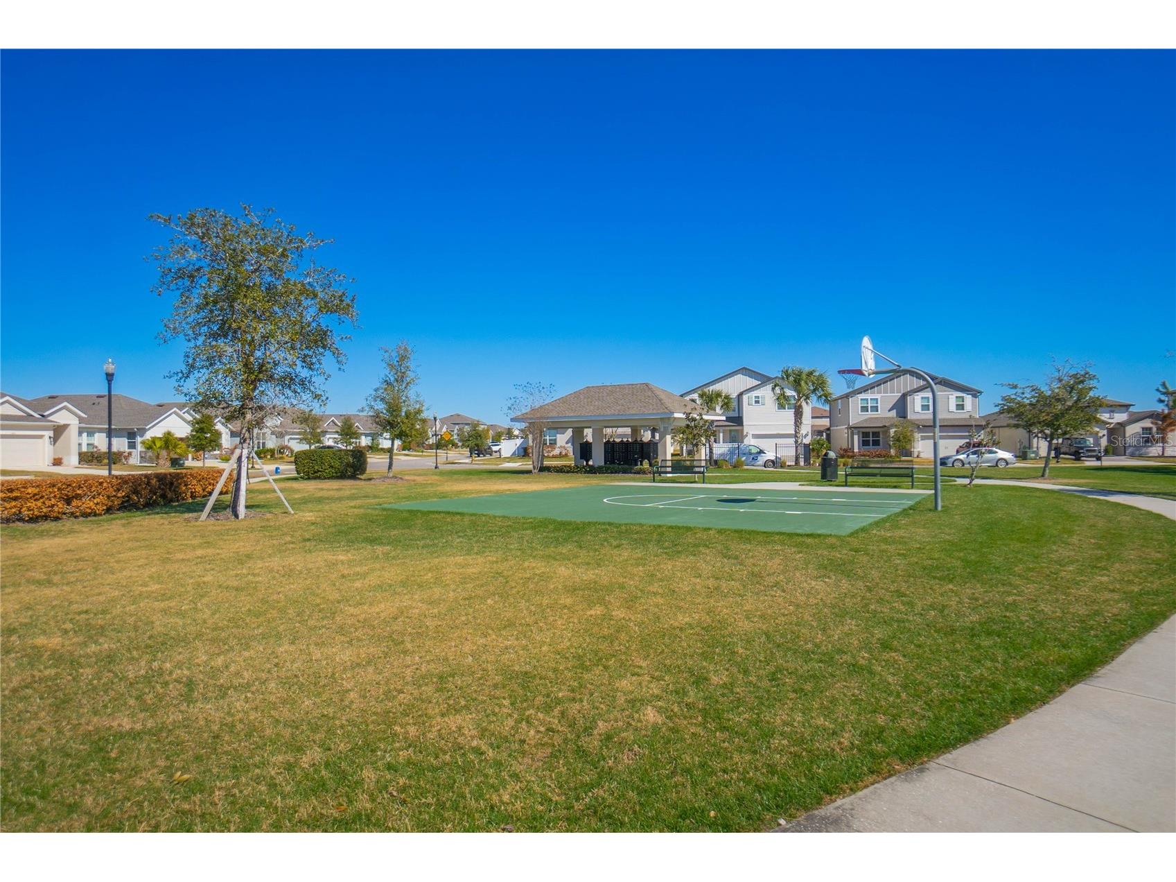 34382 Evergreen Hill Court Wesley Chapel FL 33545 TB8506743 image41