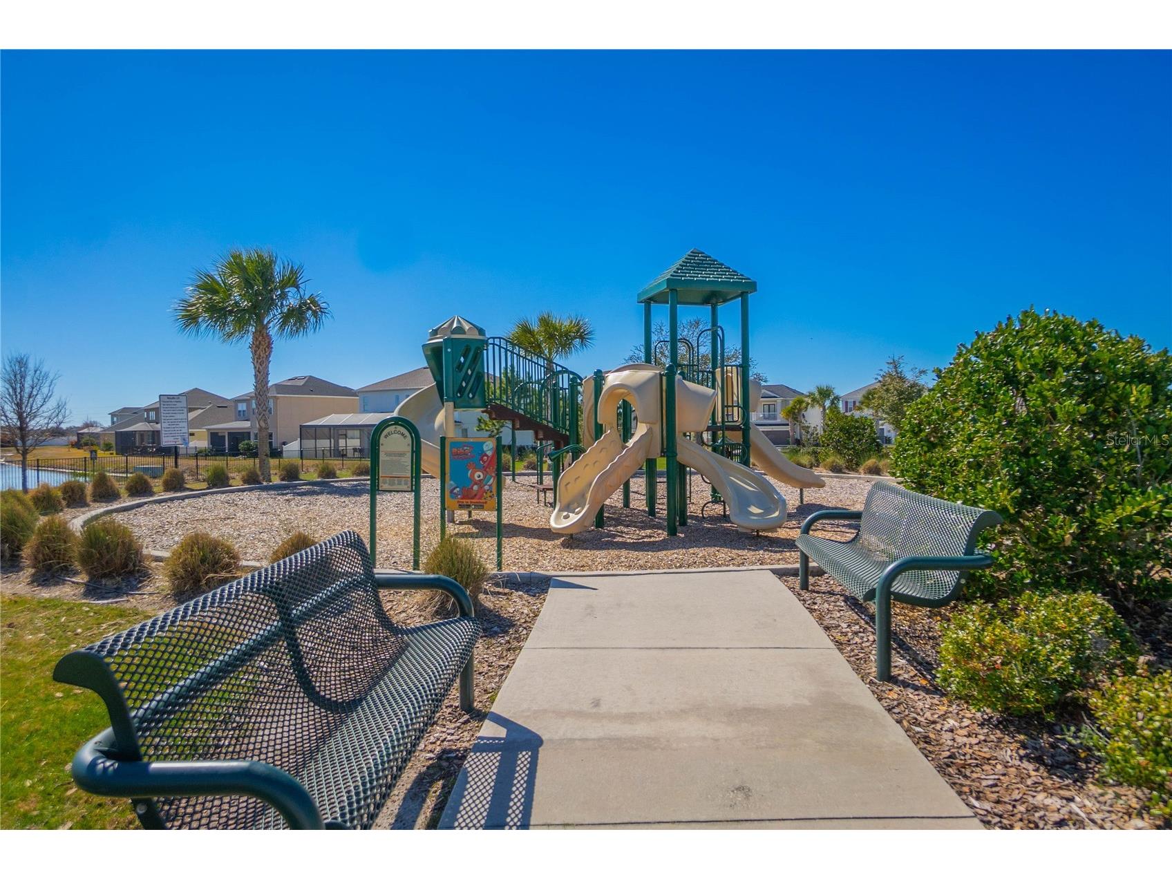 34382 Evergreen Hill Court Wesley Chapel FL 33545 TB8506743 image43