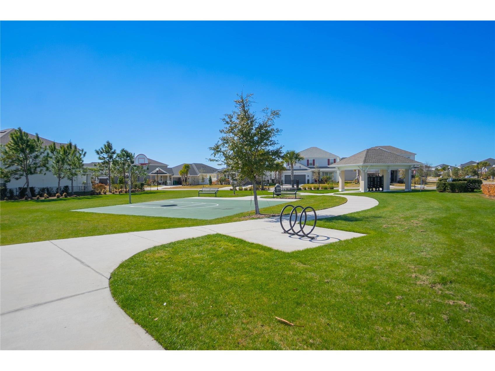 34382 Evergreen Hill Court Wesley Chapel FL 33545 TB8506743 image44