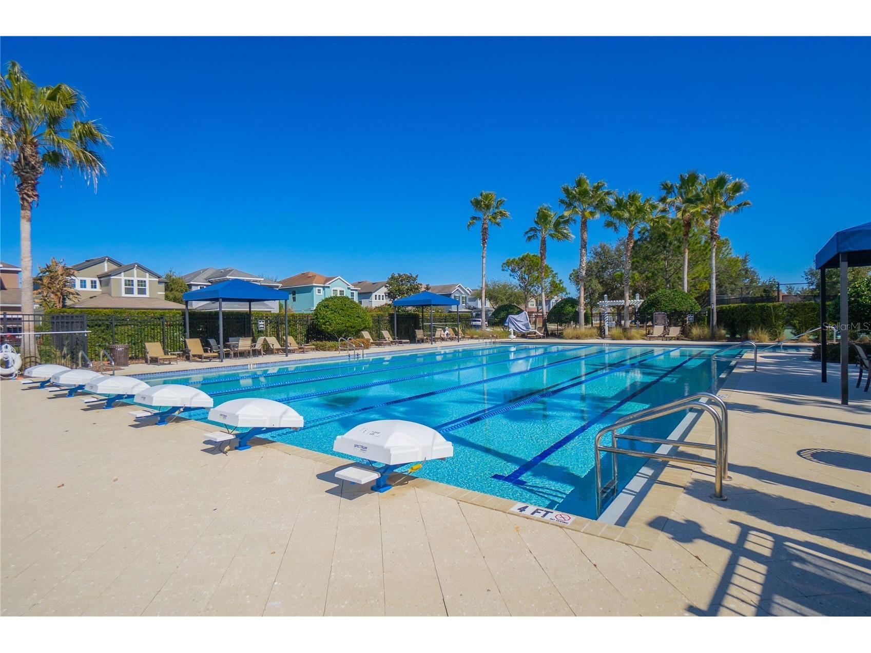 34382 Evergreen Hill Court Wesley Chapel FL 33545 TB8506743 image53