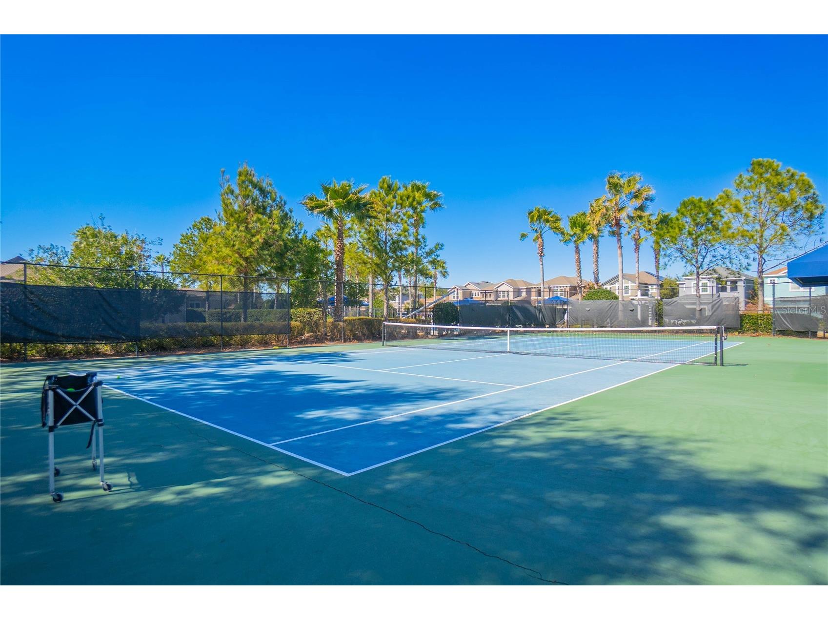 34382 Evergreen Hill Court Wesley Chapel FL 33545 TB8506743 image58
