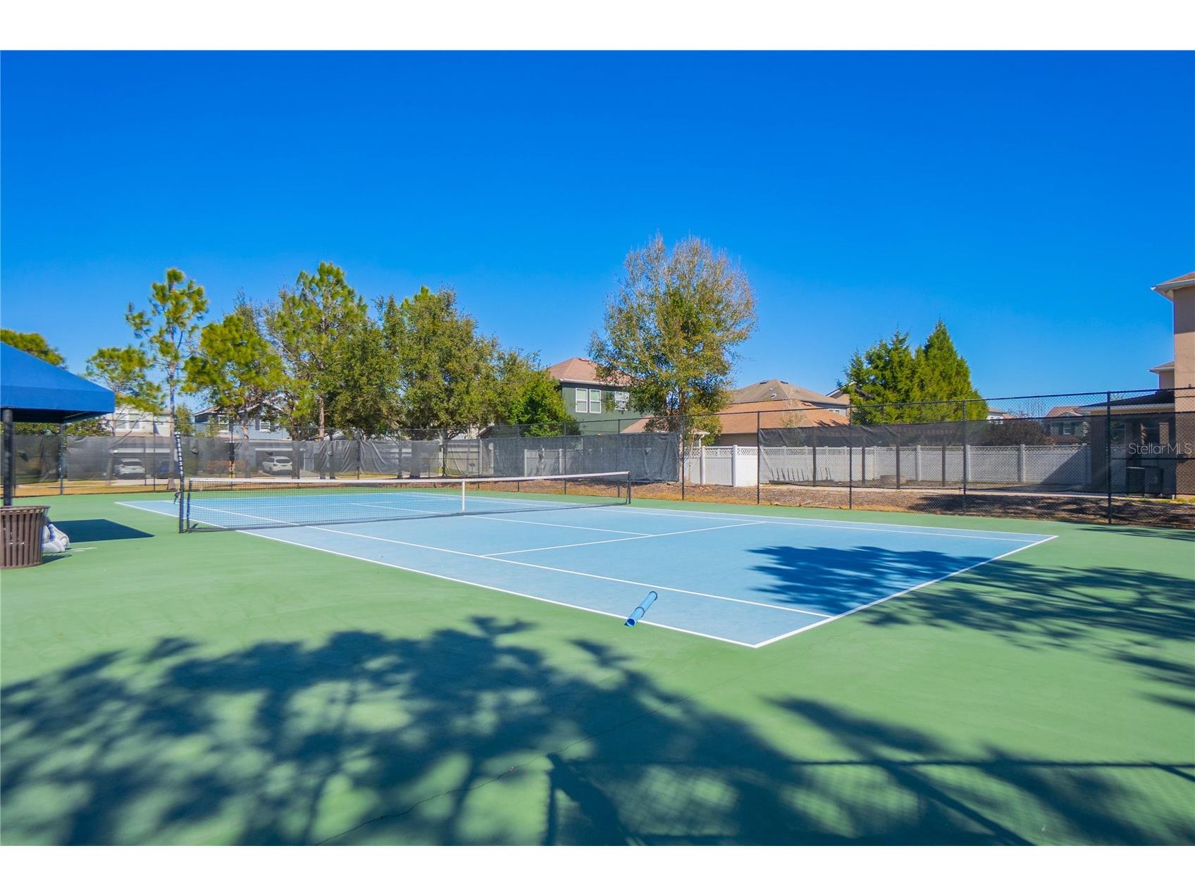34382 Evergreen Hill Court Wesley Chapel FL 33545 TB8506743 image59