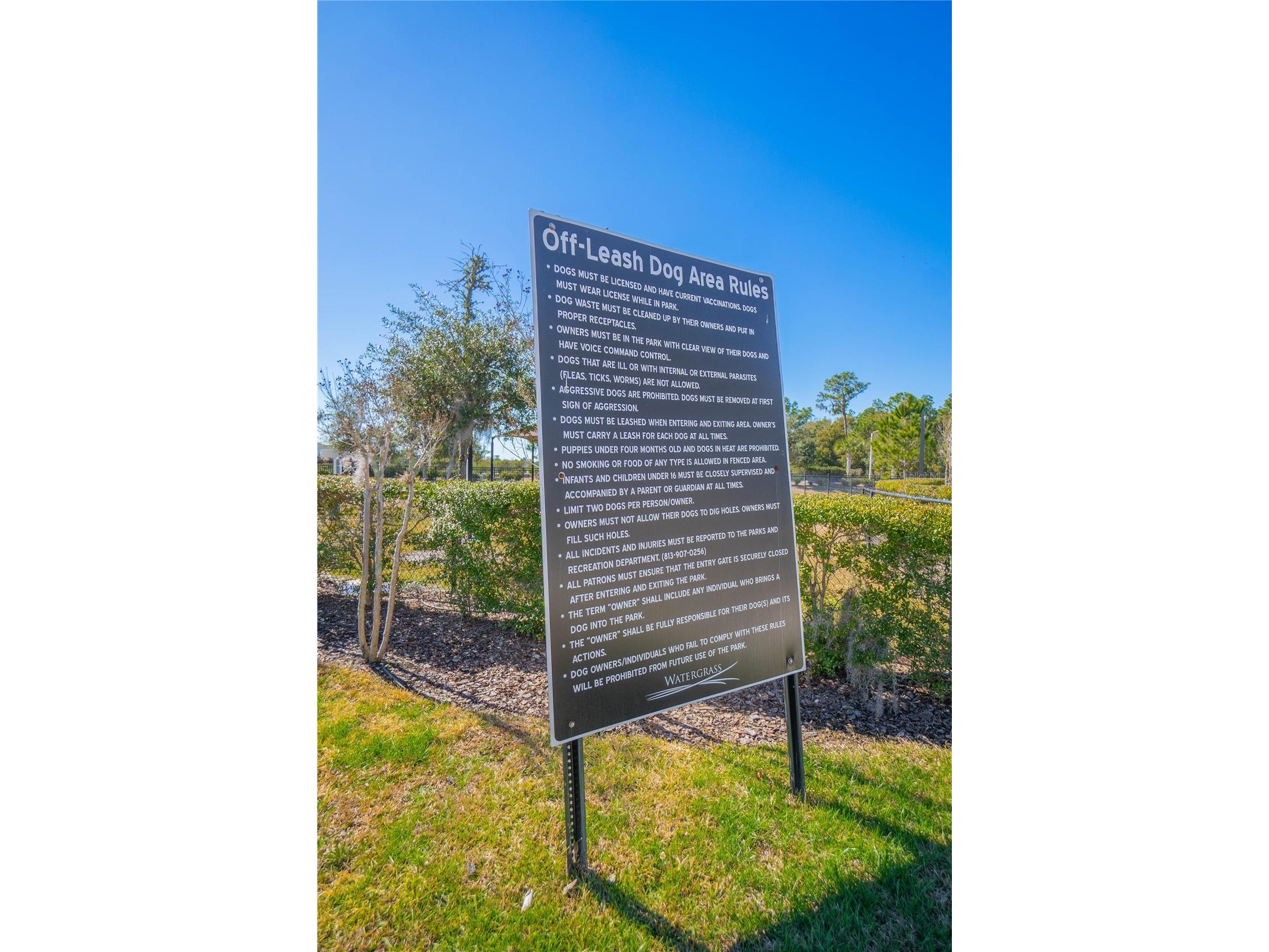 34382 Evergreen Hill Court Wesley Chapel FL 33545 TB8506743 image60