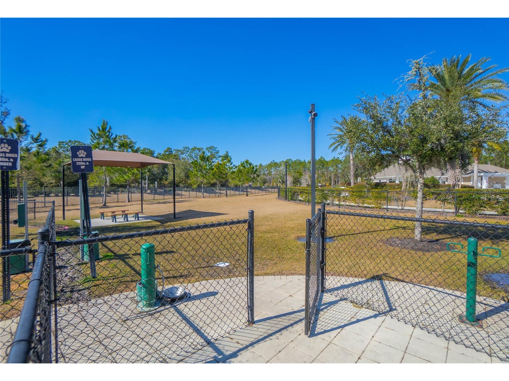 34382 Evergreen Hill Court Wesley Chapel FL 33545 TB8506743 image61