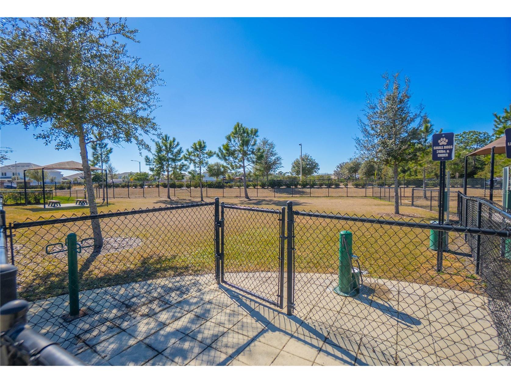 34382 Evergreen Hill Court Wesley Chapel FL 33545 TB8506743 image62