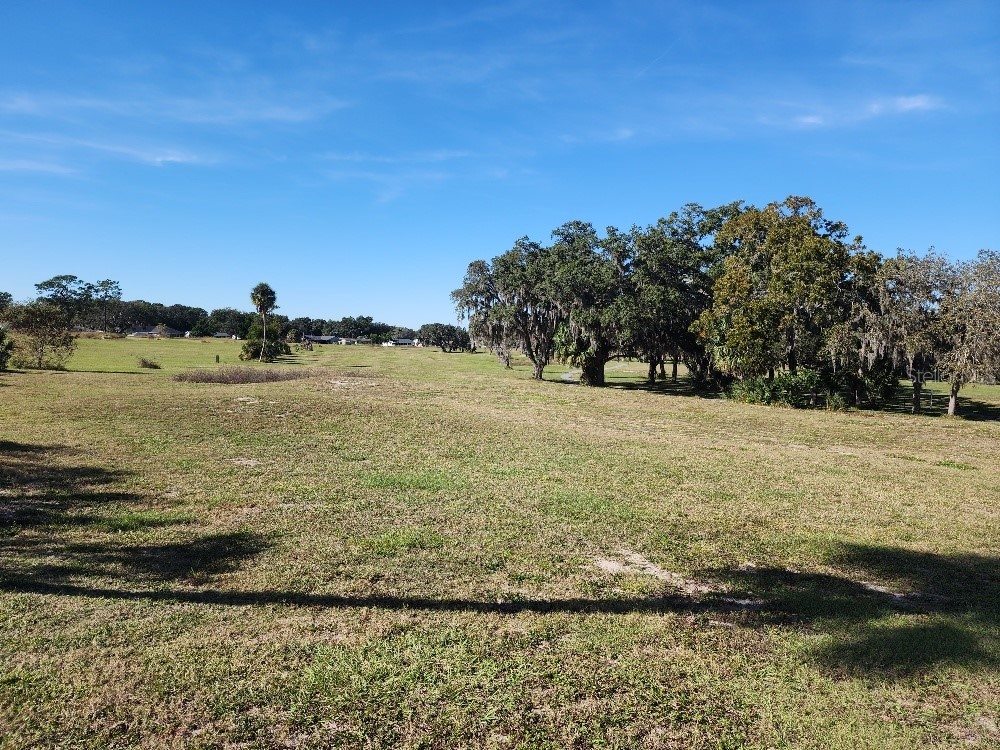 34386 Whispering Oaks Boulevard Dade City FL 33523 TB8444253 image38