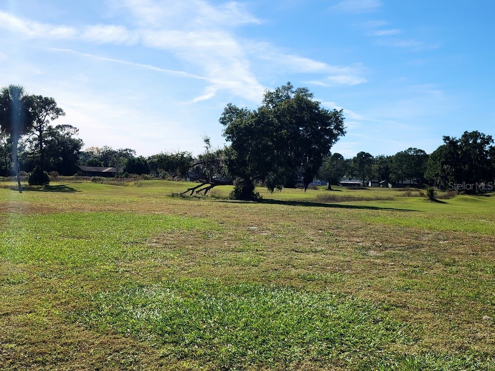 34386 Whispering Oaks Boulevard Dade City FL 33523 TB8444253 image39