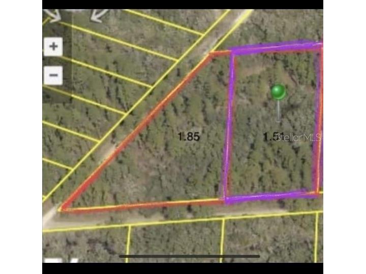 34389 Creekstone Street Webster FL 33597 O6315052 image1