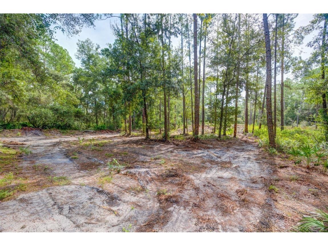34389 Grindstone Drive Webster FL 33597 TB8426691 image1