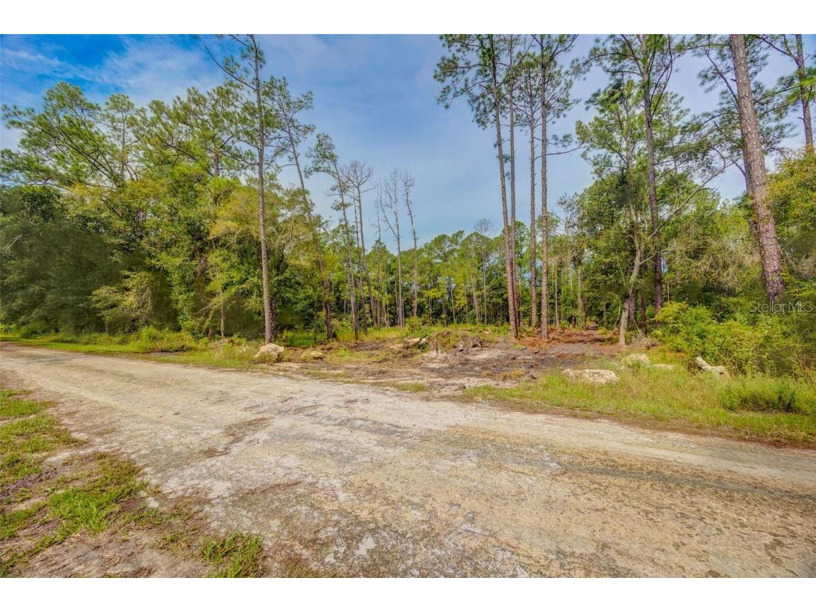 34389 Grindstone Drive Webster FL 33597 TB8426691 image10