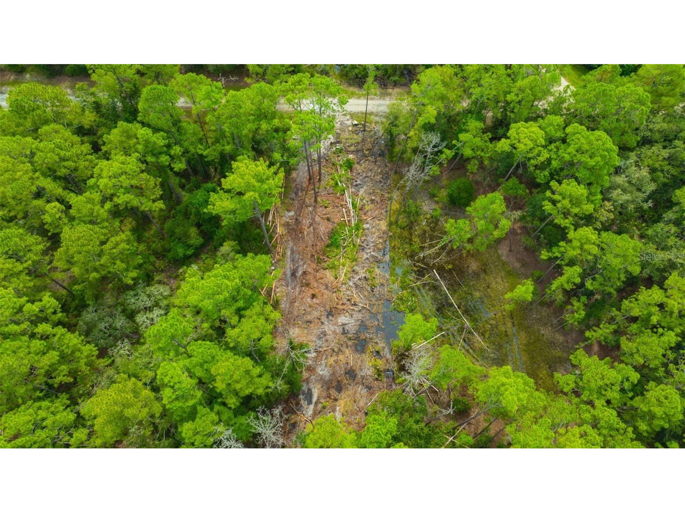 34389 Grindstone Drive Webster FL 33597 TB8426691 image11
