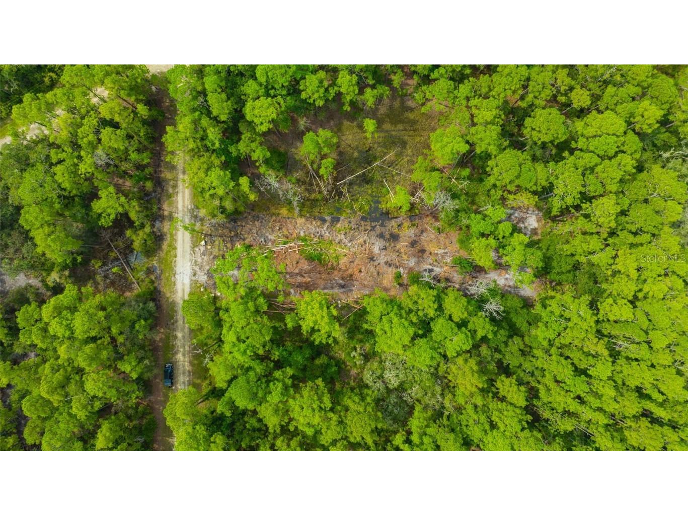 34389 Grindstone Drive Webster FL 33597 TB8426691 image12