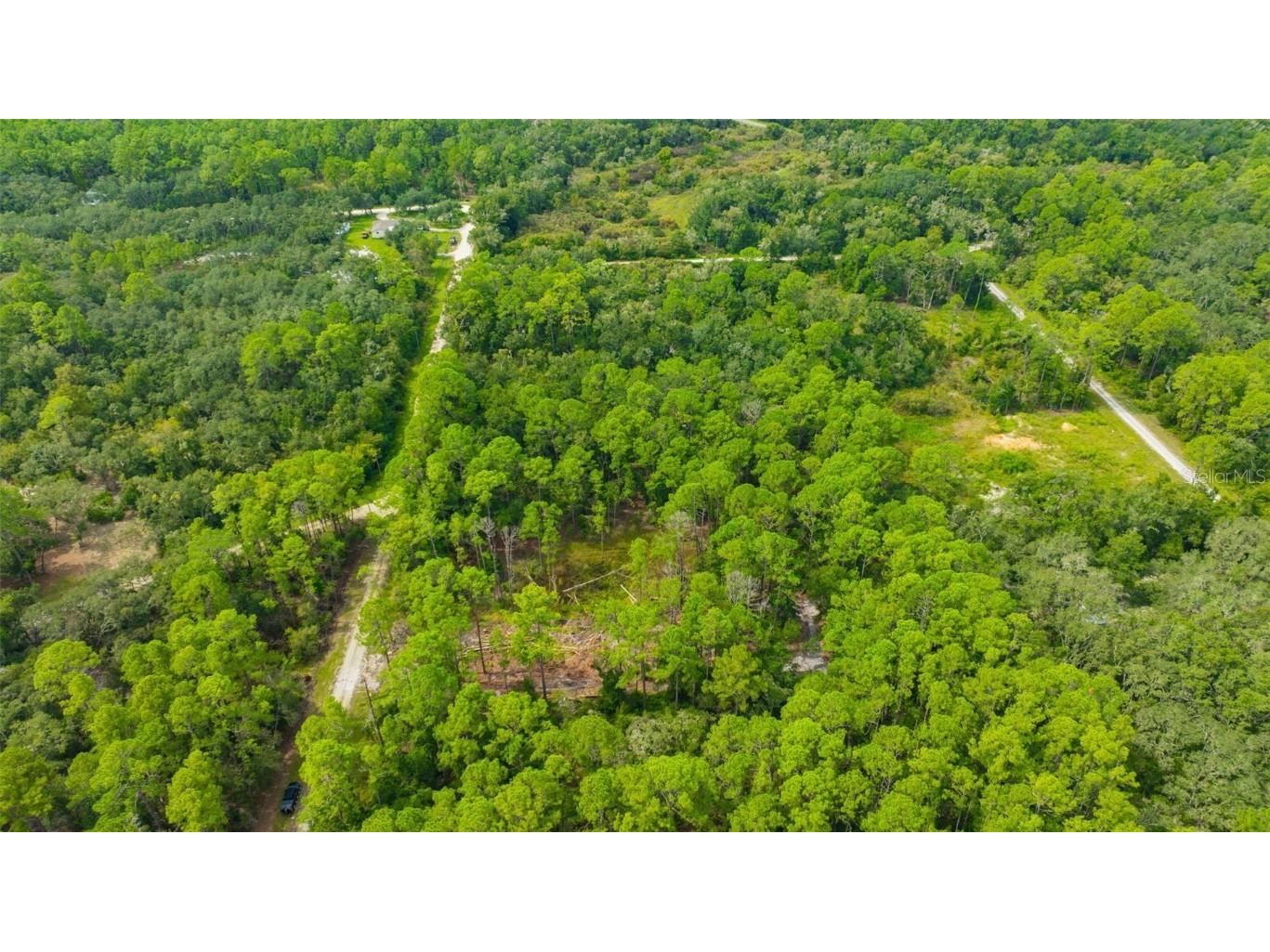 34389 Grindstone Drive Webster FL 33597 TB8426691 image13