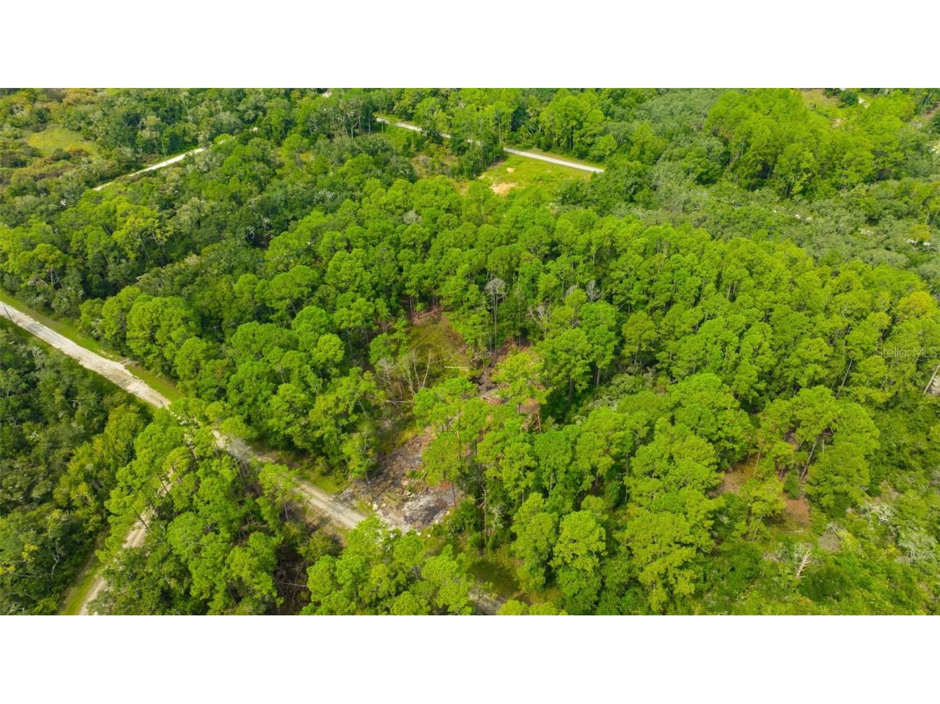34389 Grindstone Drive Webster FL 33597 TB8426691 image14